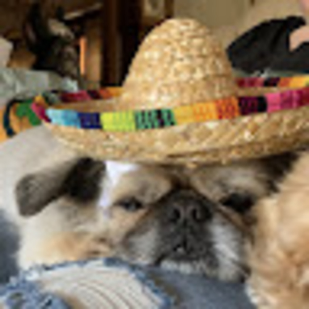 Meet your Posher, Buffy